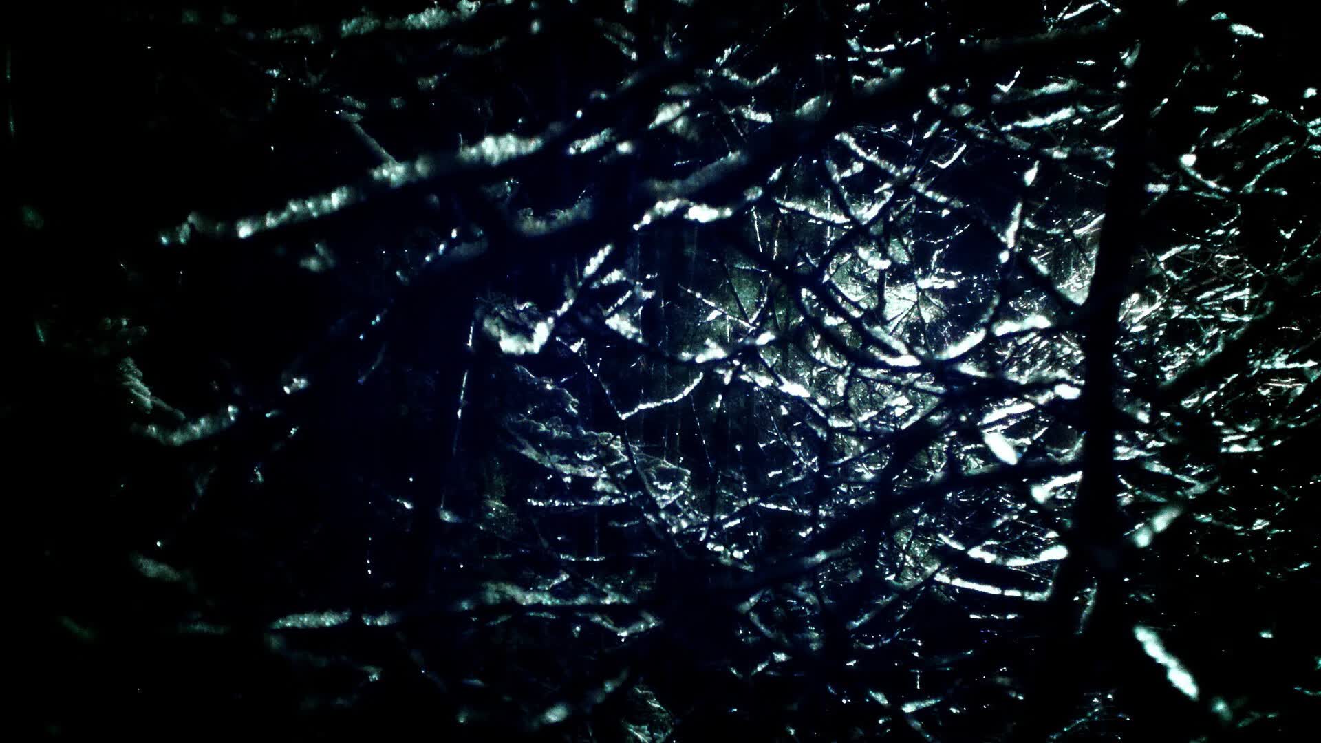世界拳击青少年体能监测设备市场分析,拳击体能训练视频